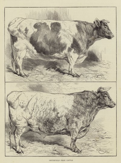 Ganado premiado de Smithfield de Harrison William Weir
